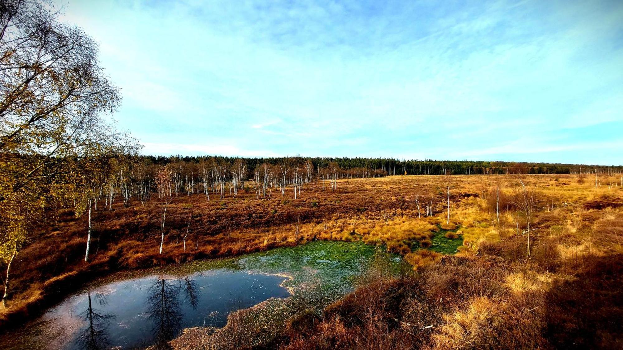 Fewo Silberborn - Weserbergland Apartment Holzminden Bagian luar foto