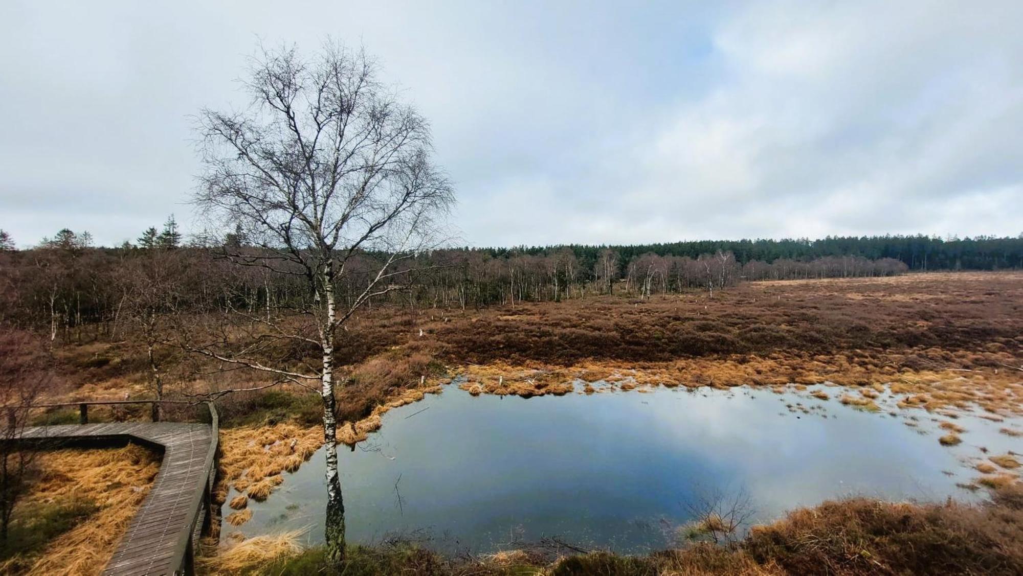 Fewo Silberborn - Weserbergland Apartment Holzminden Bagian luar foto