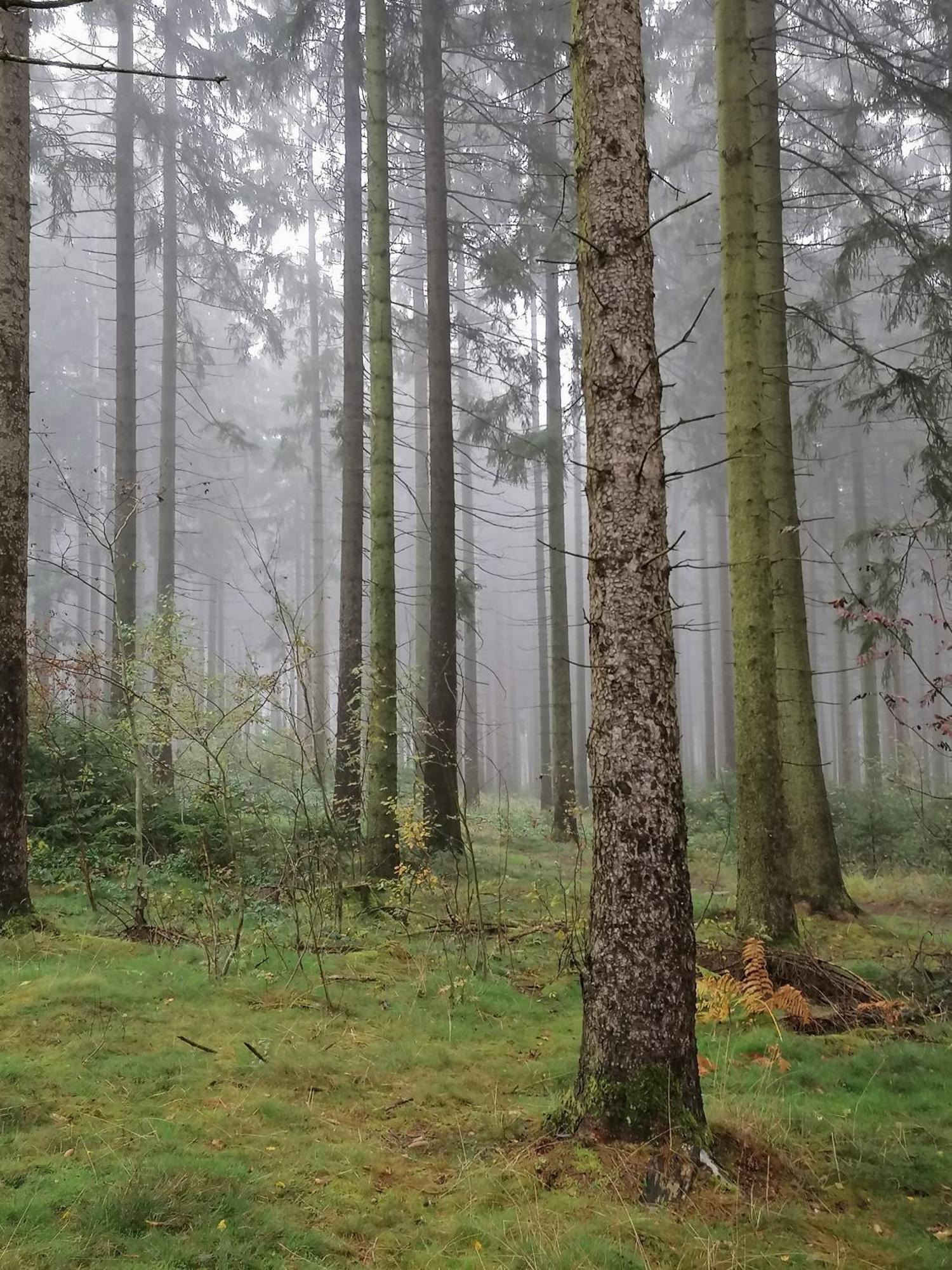 Fewo Silberborn - Weserbergland Apartment Holzminden Bagian luar foto